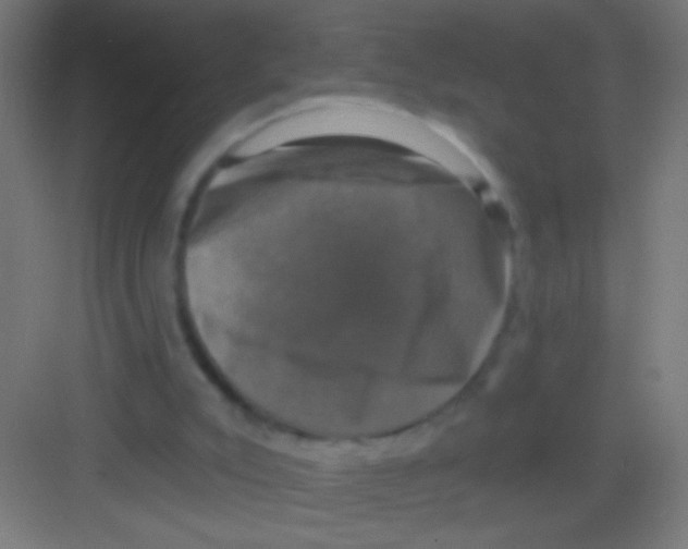 X0000081360007200702082332