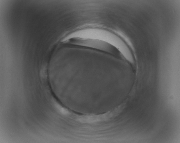 X0000081360009200702082332