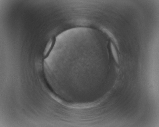 X0000081360017200702082332