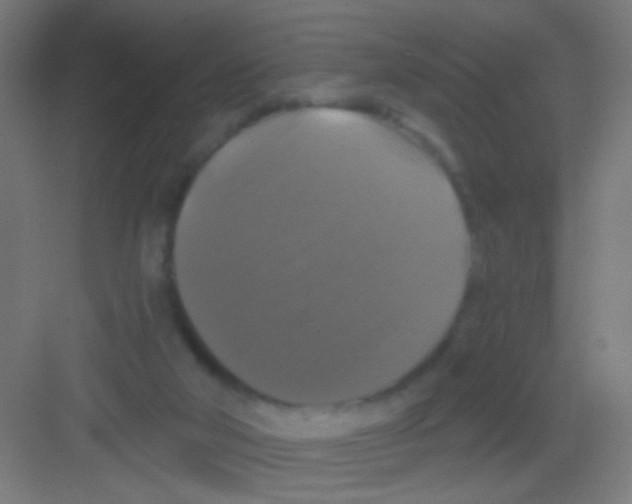 X0000081360018200702082332
