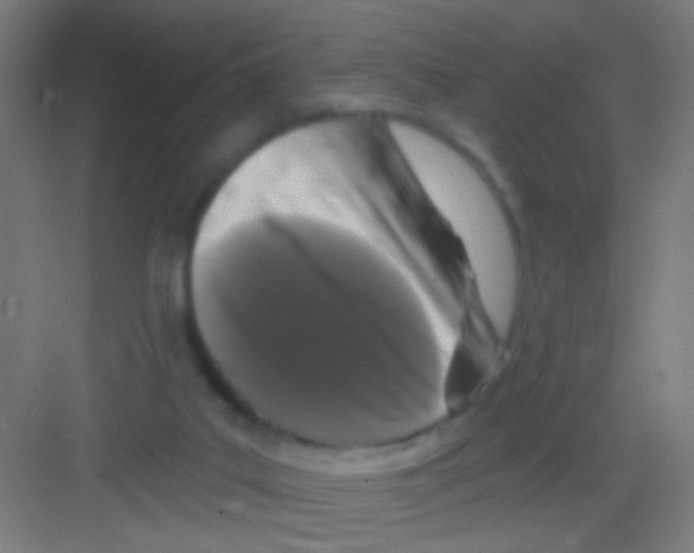 X0000081360019200702082332