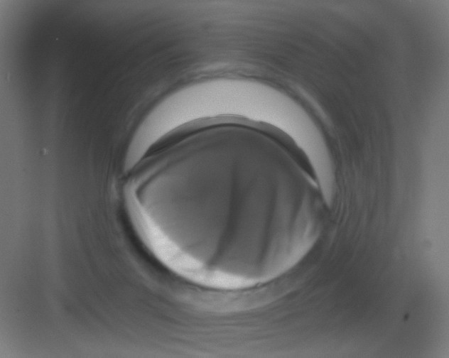 X0000081360023200702082332