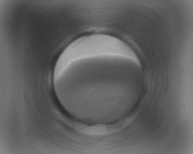 X0000081360024200702082332