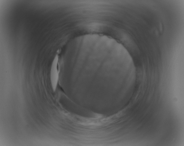 X0000081360029200702082332