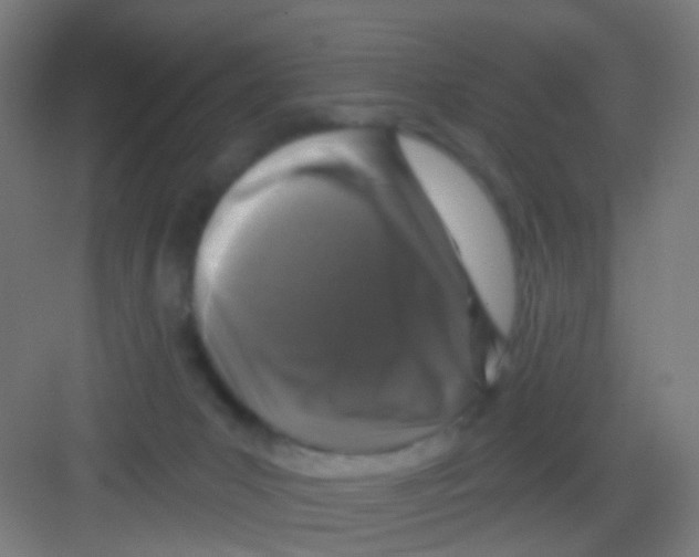 X0000081360031200702082332