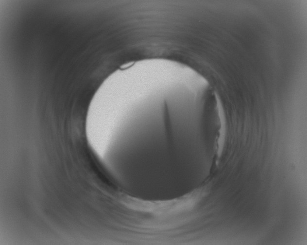 X0000081360035200702082332
