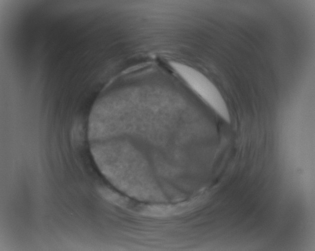 X0000081360037200702082332