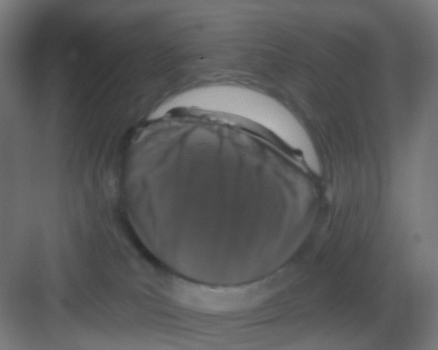 X0000081360039200702082332