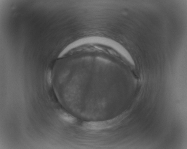 X0000081360041200702082332