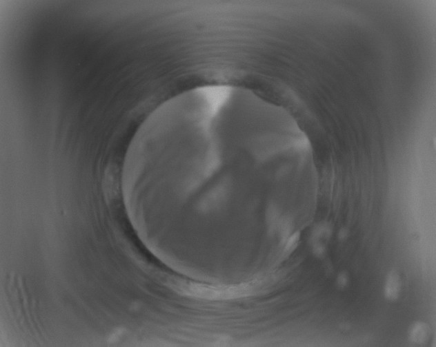X0000081360043200702082332