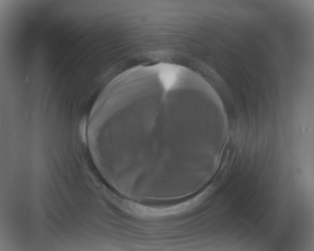 X0000081360047200702082331