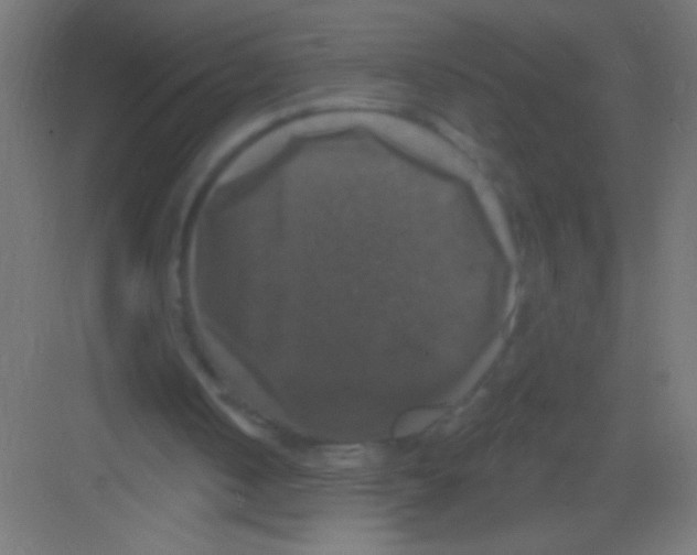 X0000081360050200702082331