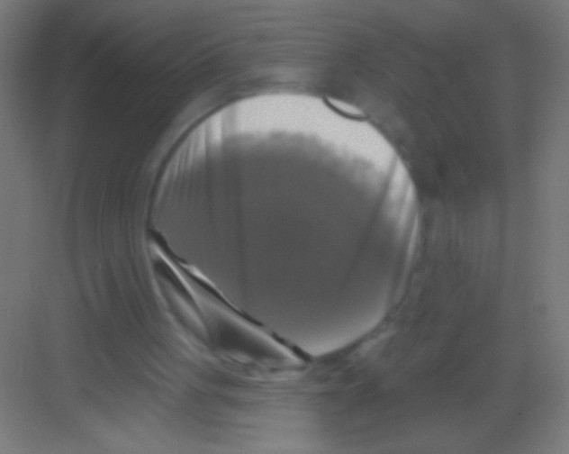 X0000081360051200702082331