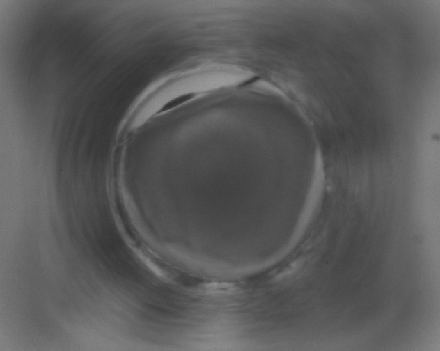X0000081360052200702082331