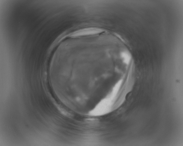 X0000081360053200702082331
