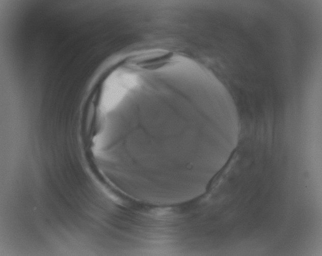 X0000081360054200702082331