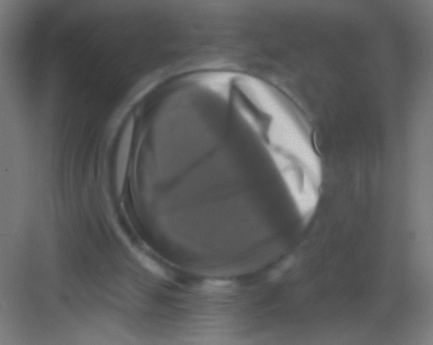 X0000081360055200702082331