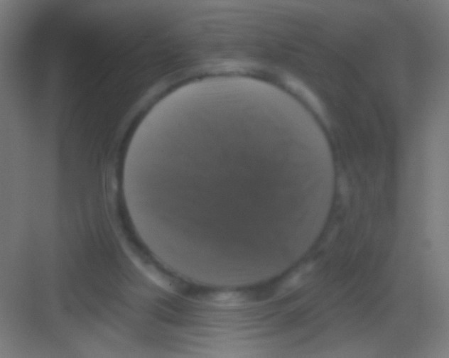 X0000081360059200702082331