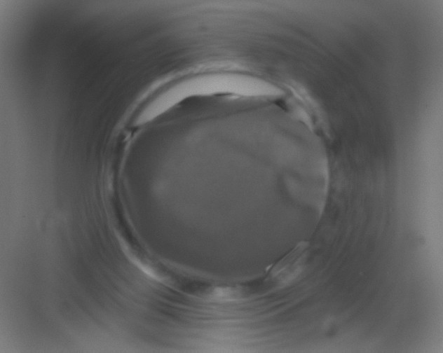 X0000081360060200702082331