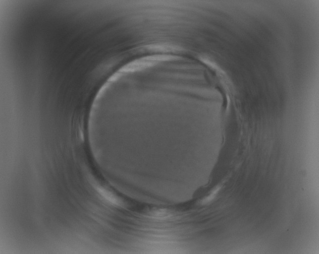 X0000081360062200702082331