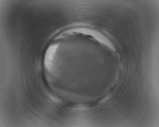 X0000081360064200702082331