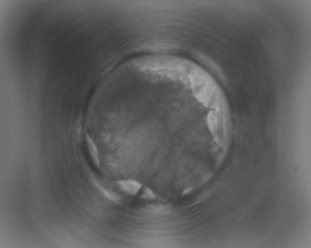 X0000081360065200702082331