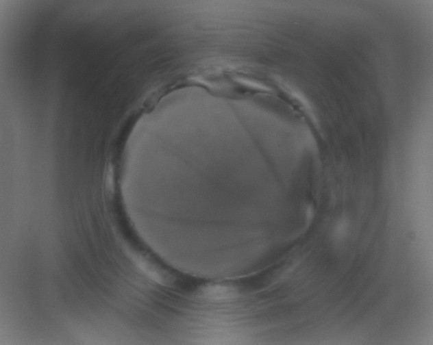 X0000081360067200702082331