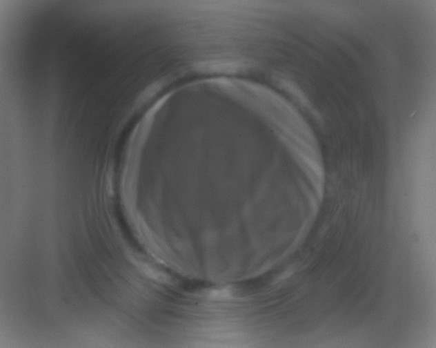 X0000081360068200702082331