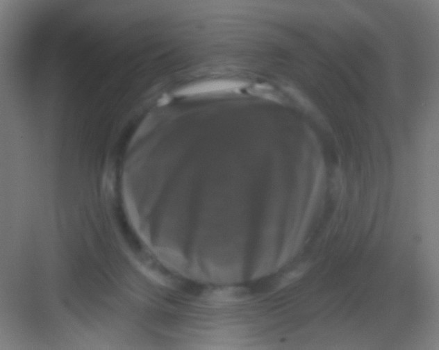 X0000081360072200702082331