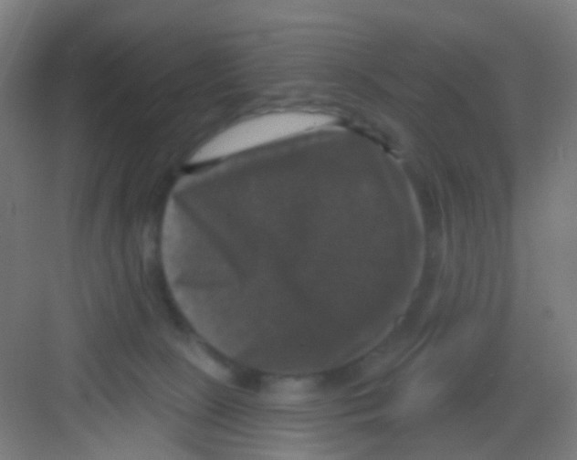 X0000081360081200702082331