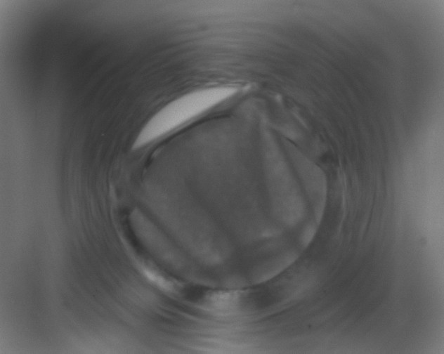 X0000081360084200702082331
