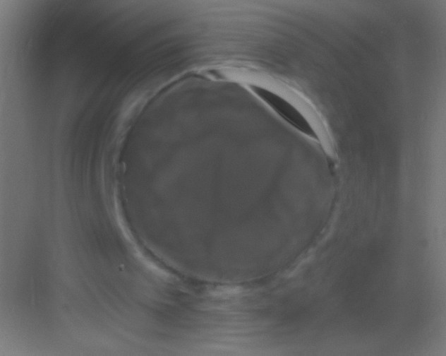 X0000081360097200702082331
