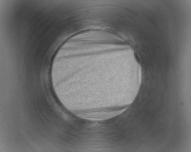 X0000081360098200702082331