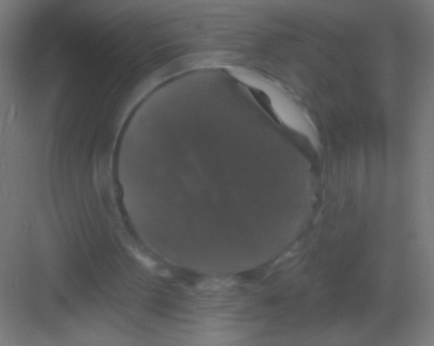 X0000081360099200702082331
