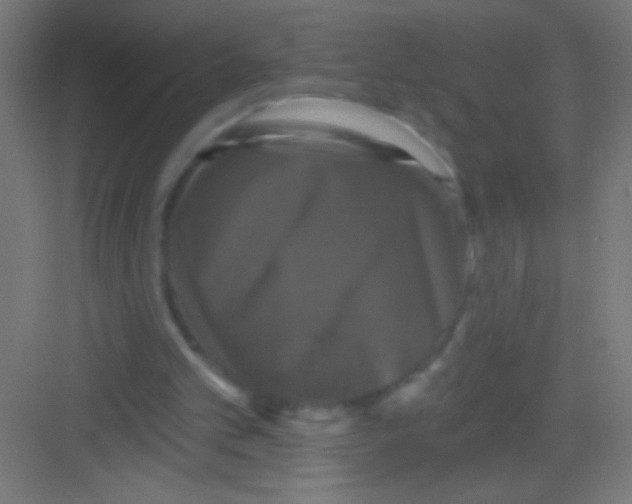 X0000081360101200702082331