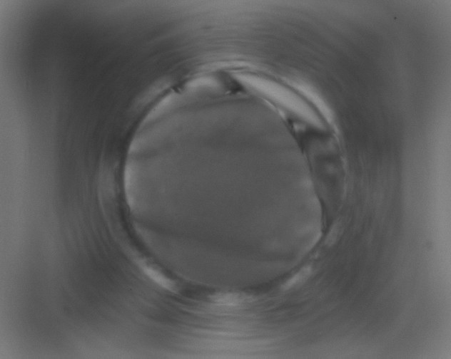 X0000081360105200702082330