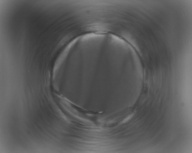 X0000081360109200702082330