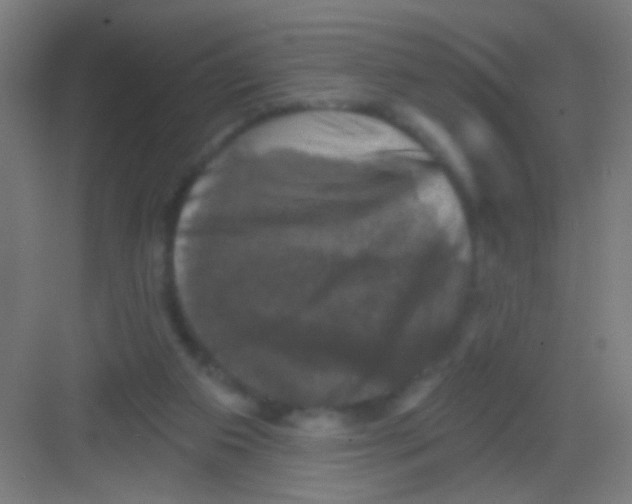 X0000081360113200702082330
