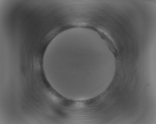X0000081360114200702082330
