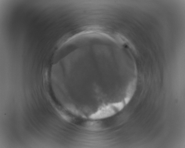 X0000081360117200702082330