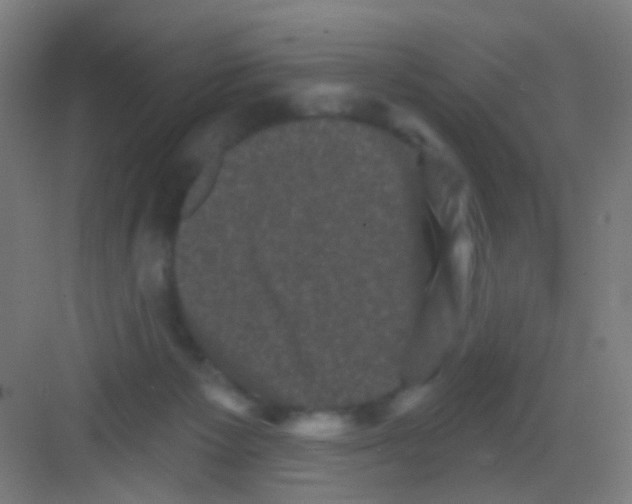 X0000081360125200702082330