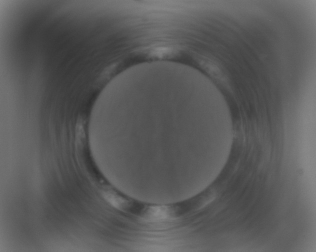 X0000081360127200702082330