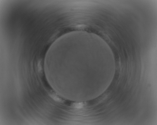 X0000081360131200702082330