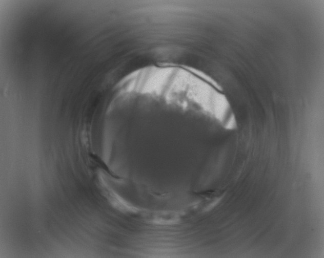 X0000081360137200702082330