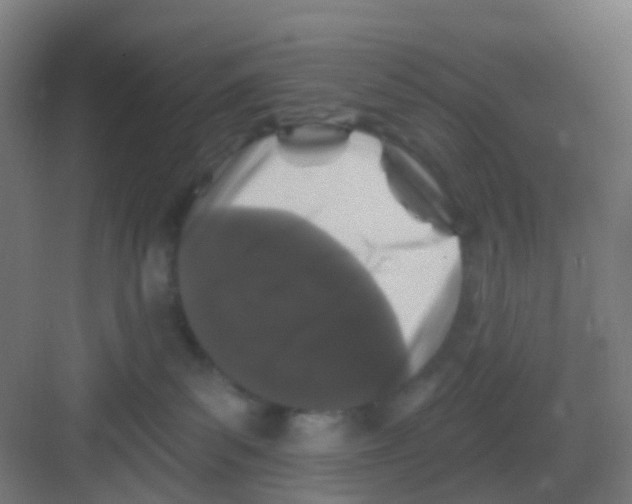 X0000081360139200702082330
