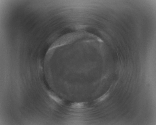 X0000081360140200702082330