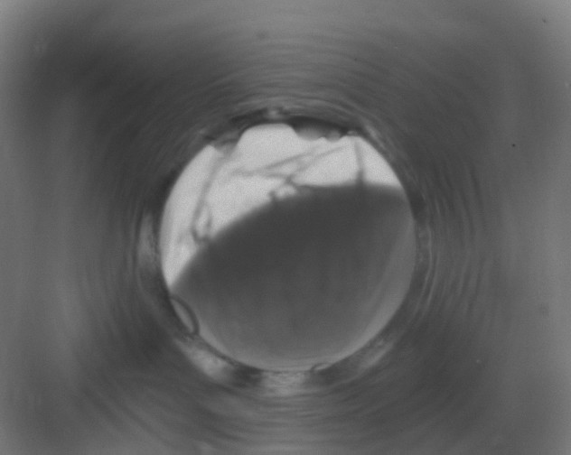 X0000081360143200702082330