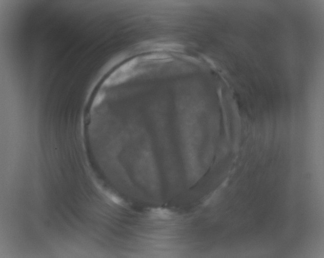 X0000081360148200702082329