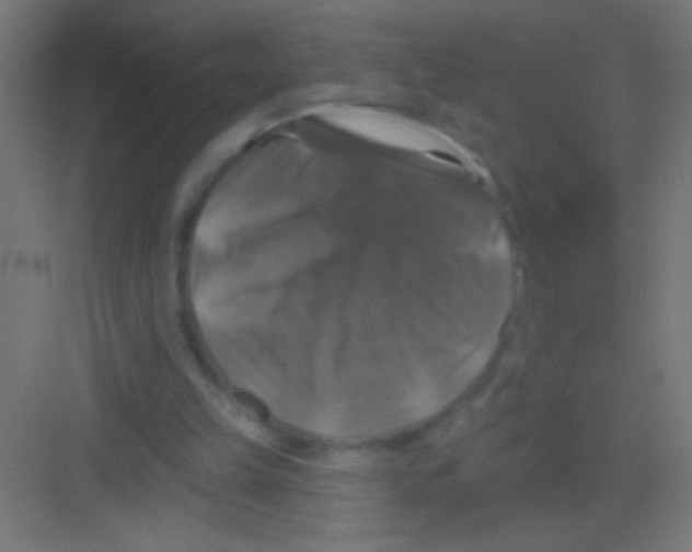 X0000081360149200702082329