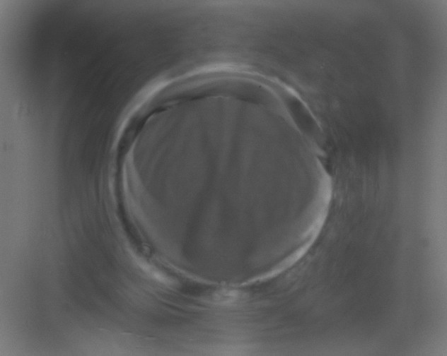 X0000081360152200702082329